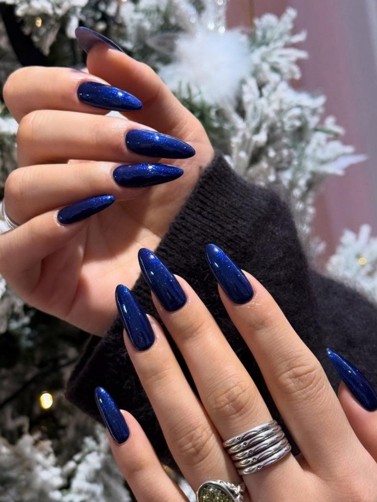 Midnight navy winter nails on long pointed almond shapes